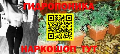 хмурый Абакан