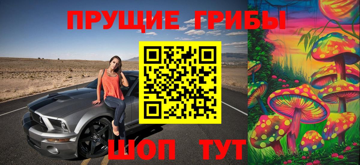 Галлюциногенные грибы Psilocybine cubensis Алатырь